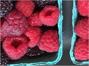 Diaz-Berries-and-Veggies-thumb1